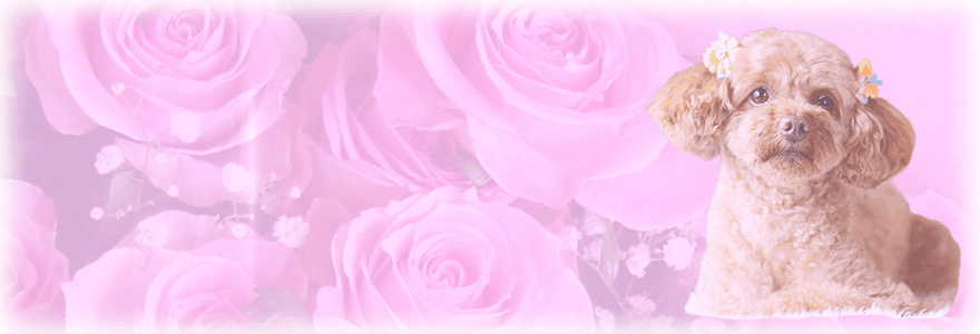 姫路　ピアノ教室　ピアニスト竹田加奈子