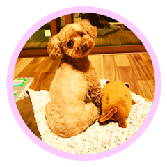 竹田加奈子 Youtube動画